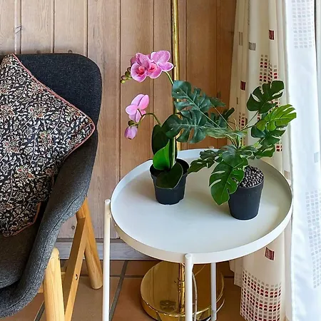 12 Person In Nordborg