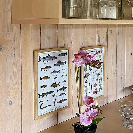 Dom wakacyjny 12 Person In Nordborg