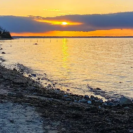 12 Person In Dom wakacyjny